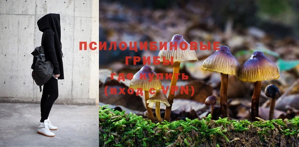 каннабис Баксан